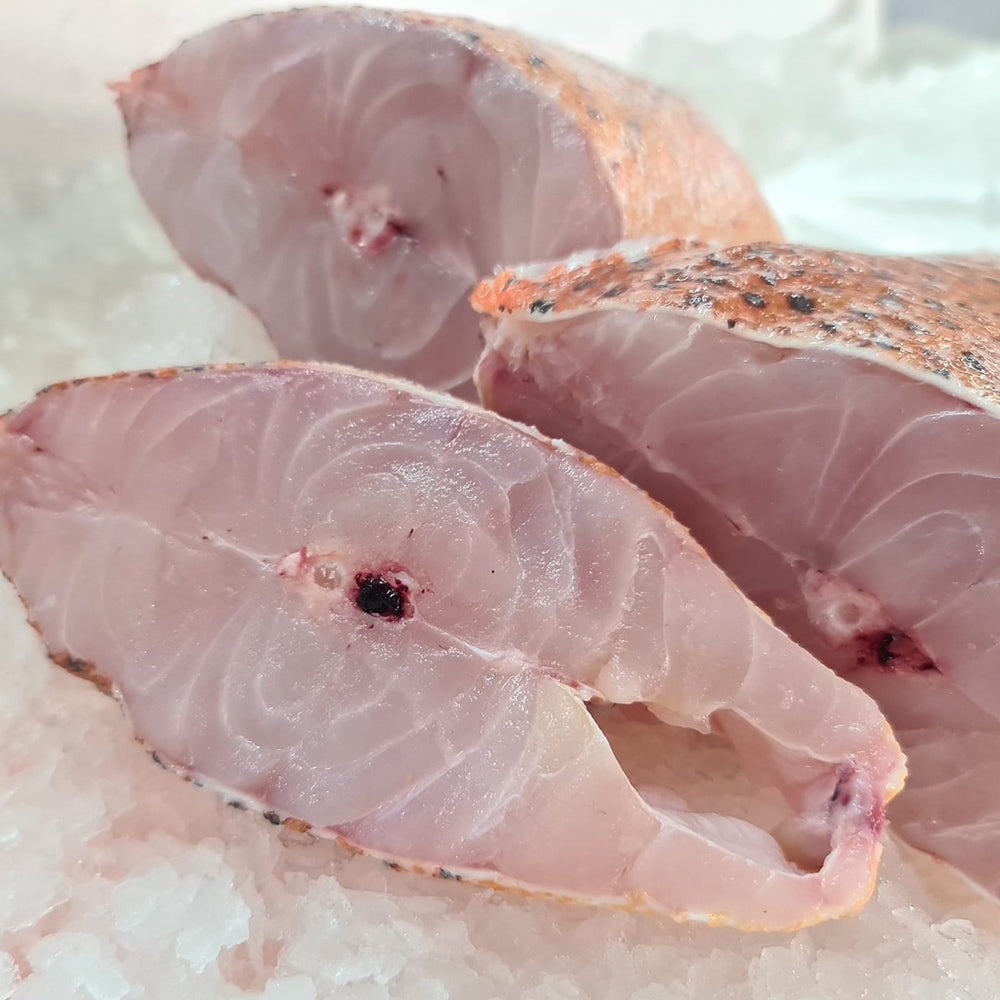 Grouper Wild Caught
