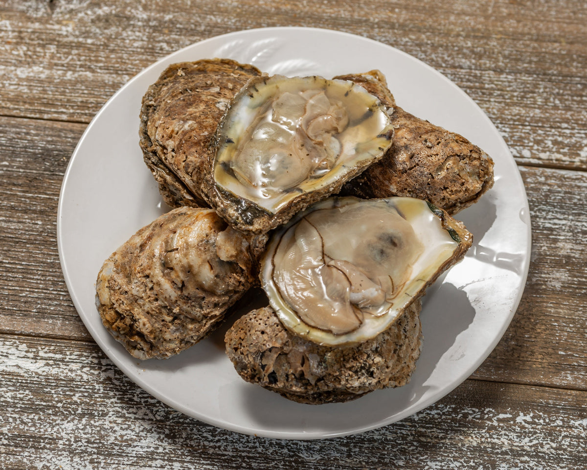 Chesapeake Crab Connection - Oysters - Shop Our Online Store